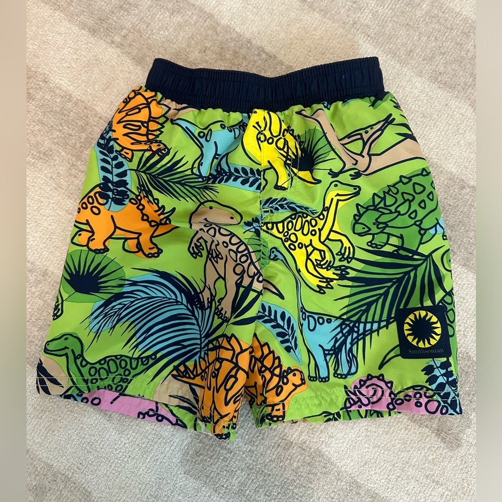 Dinosaur Print Kids Swim Shorts